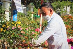 Từ bụi rậm, hoa ngũ sắc xúng xính xuống phố 'đọ sắc' cùng muôn loài kỳ hoa dị thảo