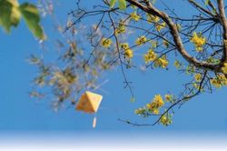 Văn hóa - Nghệ thuật Thông tin văn hóa Bà tôi & tết xưa