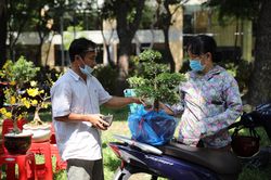 Tiểu thương ở TP.HCM bán tháo hoa Tết để kịp giờ trả mặt bằng