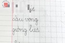 Tìm từ có vần 'ít', cậu bé tiểu học đưa ra kết quả khiến dân mạng ôm bụng cười sặc sụa