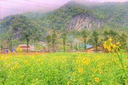 Tháng 2 - Mùa đẹp nhất du lịch Hà Giang trong năm cho những chuyến đi