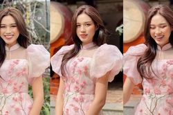 Hoa hậu Đỗ Thị Hà mong manh như cánh hoa đào, tiết lộ 'nỗi khổ' khi diện áo dài đầu năm