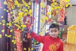 Đón Tết trong niềm hoài vọng