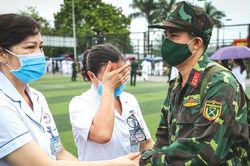 Những cây cam ngọt…