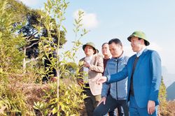 'Đi trước mở đường, đi cùng thực hiện, đi sau tổng kết'