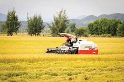 Kinh tế Khoa học - công nghệ Ứng dụng công nghệ vào sản xuất nông nghiệp