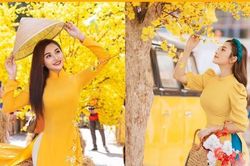 Không thể rời mắt khỏi bộ ảnh chào Xuân ngập sắc vàng của thiếu nữ Bến Tre