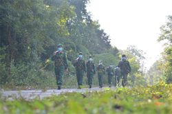 'Vương quốc' một thời của hổ Đông Dương
