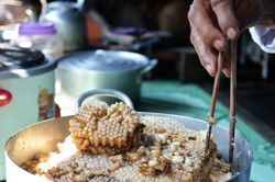 Đặc sản xứ U Minh: nhộng ong, nhìn phát sợ nhưng ăn là ghiền