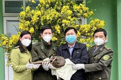 Kinh tế Kinh tế Bàn giao cá thể tê tê cho Vườn Quốc gia Cúc Phương