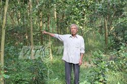 Kỳ 3: 'Thần hổ xám ở Thanh Hóa': 'Ác thú' ăn thịt hai thiếu nữ