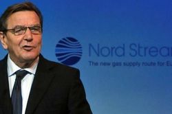 Cựu Thủ tướng Đức Schröder ứng cử hội đồng quản trị Gazprom
