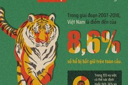 Vui Xuân Nhâm Dần, cao nhân không cần cao hổ