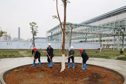 Chi nhánh Luyện đồng Lào Cai trồng hơn 200 cây xanh hưởng ứng Tết trồng cây Xuân Nhâm Dần