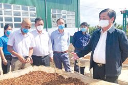 Nâng tầm giá trị nông sản địa phương