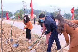 Các địa phương gặp mặt đầu Xuân và phát động Tết trồng cây
