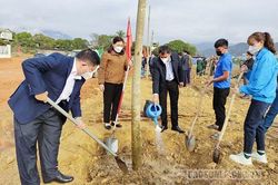 Sông Mã phát động 'Tết trồng cây đời đời nhớ ơn Bác Hồ'