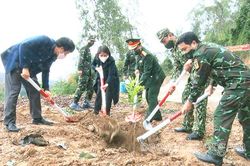 Huyện Sốp Cộp phấn đấu trồng 630 ha rừng các loại