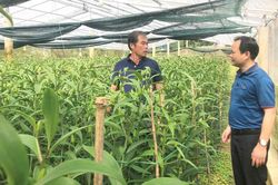 Kinh tế Nông nghiệp - Nông thôn Bù lại những điều chưa làm được trong năm đã qua