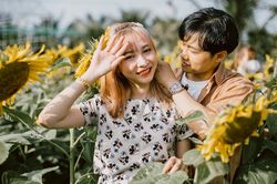 Vườn hoa hướng dương mới ở Phú Yên hút khách