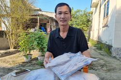 Thu nhập cao từ nghề chế biến mực một nắng