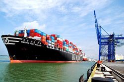 Xuất khẩu nông sản sang Trung Quốc bị kẹt cảng biển do chưa được cấp mã số