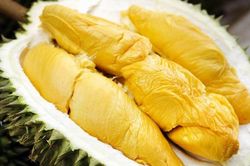 Xuất khẩu sầu riêng sang Trung Quốc: Nỗ lực đi chính ngạch