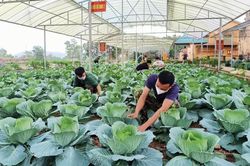 Chính trị - Xã hội An ninh - Quốc Phòng Sẵn sàng đón tân binh