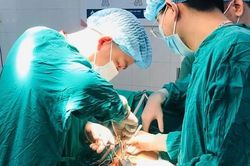 Lo dịch không đi khám, bé trai phải cắt bỏ một 'hạt cà', lưu ý quan trọng của bác sĩ để bảo toàn khả năng làm cha cho con