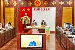 Ngăn chặn và xử lý nghiêm các trường hợp vận chuyển động vật, sản phẩm động vật trái phép