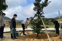 Kinh tế Nông nghiệp - Nông thôn Trồng 550 cây xanh dọc tuyến đường vào lăng Gia Long