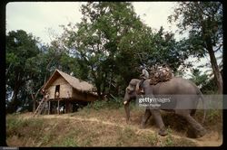 Loạt ảnh khó quên về Đắk Lắk năm 1994
