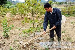 Các cấp hội nông dân huyện Hữu Lũng: Lan tỏa phong trào sản xuất, kinh doanh giỏiTin khácĐảm bảo an toàn phòng dịch COVID-19 tại các điểm di tíchTiếp tục siết chặt kỷ cương, tăng cường trách nhiệm, quyết liệt hành động, sáng tạo bứt phá