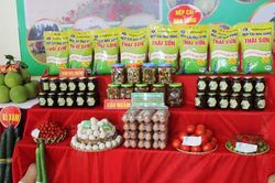 Nhiều địa phương xây dựng kế hoạch hướng tới mục tiêu cả nước có 6.500 sản phẩm OCOP