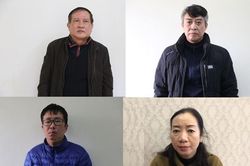 Phê chuẩn khởi tố, bắt tạm giam cựu Chủ tịch, Tổng Giám đốc, Phó Tổng giám đốc Công ty Tây Hồ