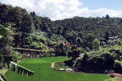 Thôn Bỗng 2 đoàn kết xây dựng nông thôn mới