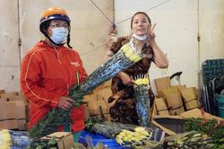 Cần tính phương án bảo đảm việc làm cho người lao động nếu di dời chợ hoa Hồ Thị Kỷ