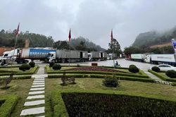 Dừng nhận nông sản, lượng xe chờ thông quan tại Lạng Sơn vẫn tăng cao