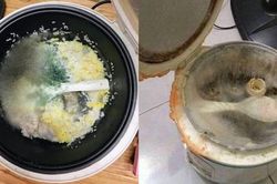 Kinh hoàng loạt nồi cơm điện mốc xanh mốc trắng sau Tết vì quên rửa và cách xử lý bất ngờ