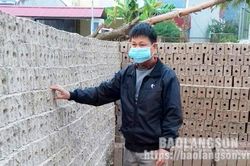 Người nông dân làm giàu từ sản xuất gạch ba banhTin khácĐảm bảo an toàn cho học sinh trở lại trường họcAnh hùng giữ chốt biên cương