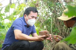 Pleiku: Khảo sát dấu tích tháp Chăm tại xã An Phú