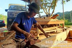 Hội viên nông dân làm giàu từ mô hình kinh tế tổng hợpTin khácĐảm bảo an toàn cho học sinh trở lại trường họcAnh hùng giữ chốt biên cương