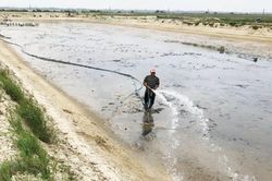 Kinh tế Nâng chất lượng, giá trị sản phẩm nông nghiệp