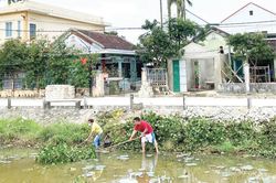 Bạn đọc Bạn đọc 'Xanh' trong ý thức
