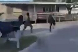 Clip: Bức xúc cảnh nhóm học sinh truy đuổi, hành hung thầy giáo ngay trong khuôn viên trường