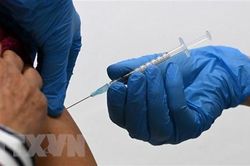 Italy khuyến nghị tiêm mũi vaccine thứ tư cho người suy giảm miễn dịch