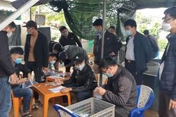 Vây bắt hàng chục con bạc tại sới gà lớn ở Huế