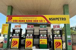Xử phạt, tước giấp phép kinh doanh nhiều cửa hàng xăng dầu