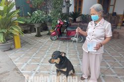 Nuôi chó dữ lưu ý để an toàn