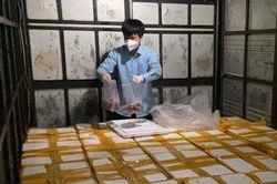 Chặn ôtô tải chở hơn 1,7 tấn cá khoai ướp formol đi tiêu thụ